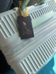 Personalized Carbon Fiber Pet Luggage Tag - Dog Cat Travel Accessory